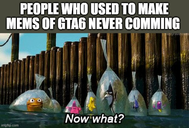 Now What? | PEOPLE WHO USED TO MAKE MEMS OF GTA6 NEVER COMMING | image tagged in now what | made w/ Imgflip meme maker