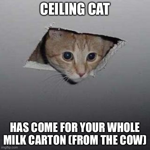 Ceiling Cat Meme | CEILING CAT; HAS COME FOR YOUR WHOLE MILK CARTON (FROM THE COW) | image tagged in memes,ceiling cat | made w/ Imgflip meme maker