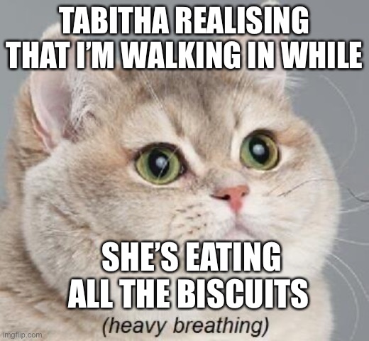 Heavy Breathing Cat | TABITHA REALISING THAT I’M WALKING IN WHILE; SHE’S EATING ALL THE BISCUITS | image tagged in memes,heavy breathing cat | made w/ Imgflip meme maker