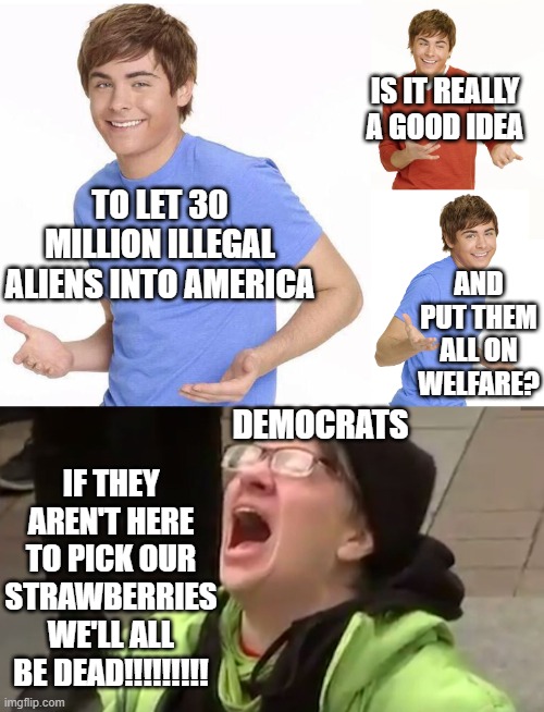 IS IT REALLY A GOOD IDEA; TO LET 30 MILLION ILLEGAL ALIENS INTO AMERICA; AND PUT THEM ALL ON WELFARE? DEMOCRATS; IF THEY AREN'T HERE TO PICK OUR STRAWBERRIES WE'LL ALL BE DEAD!!!!!!!!! | image tagged in zac efron,screaming liberal | made w/ Imgflip meme maker