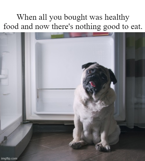 No Good Food | When all you bought was healthy food and now there's nothing good to eat. | image tagged in funny dog memes,new years resolutions,dogs,dog memes | made w/ Imgflip meme maker