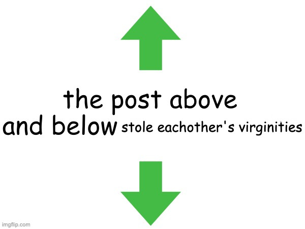 the post above and below are now dating | stole eachother's virginities | image tagged in the post above and below are now dating | made w/ Imgflip meme maker