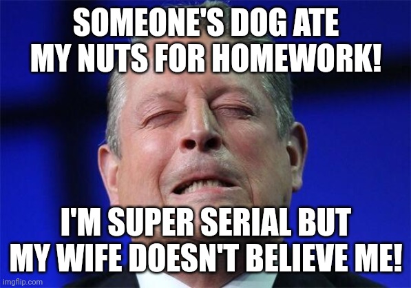 Al Gore | SOMEONE'S DOG ATE MY NUTS FOR HOMEWORK! I'M SUPER SERIAL BUT MY WIFE DOESN'T BELIEVE ME! | image tagged in al gore | made w/ Imgflip meme maker