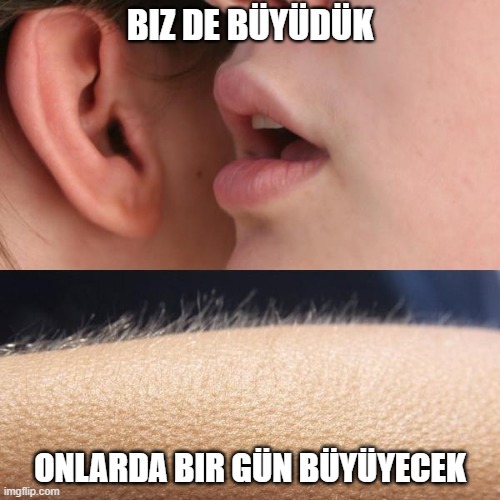 894gbu.jpg