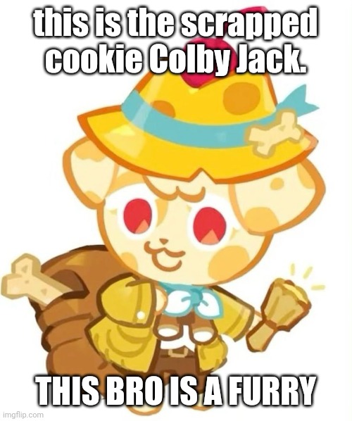 this is the scrapped cookie Colby Jack. THIS BRO IS A FURRY | made w/ Imgflip meme maker