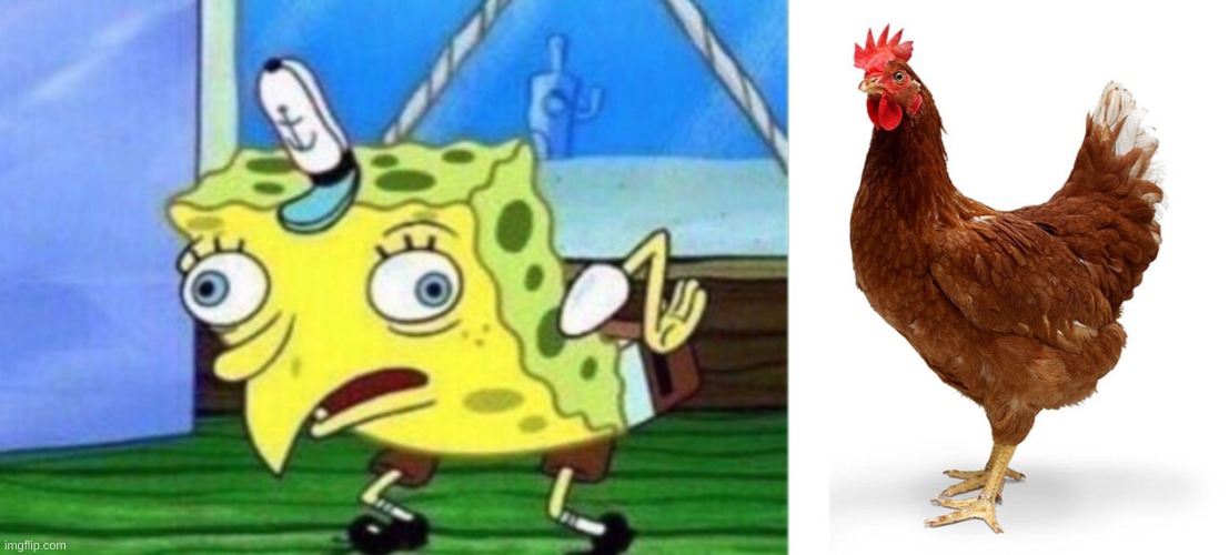 image tagged in memes,mocking spongebob,chicken and egg | made w/ Imgflip meme maker