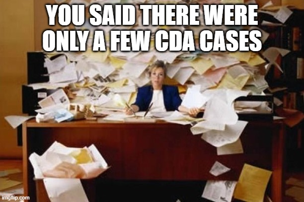 Paperwork | YOU SAID THERE WERE ONLY A FEW CDA CASES | image tagged in paperwork | made w/ Imgflip meme maker