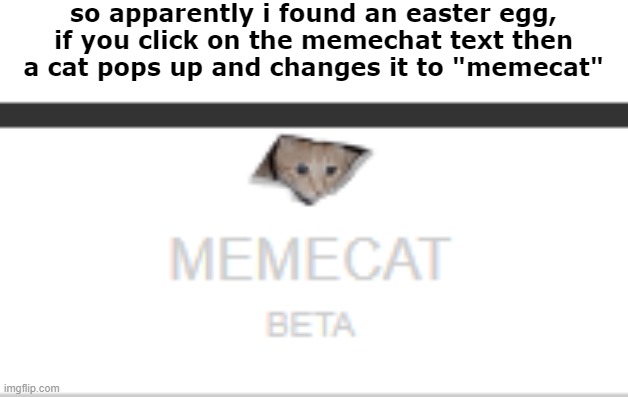image title | so apparently i found an easter egg, if you click on the memechat text then a cat pops up and changes it to "memecat" | image tagged in image tags | made w/ Imgflip meme maker