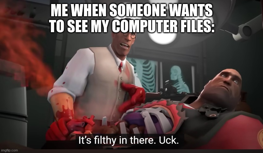 its super cringe | ME WHEN SOMEONE WANTS TO SEE MY COMPUTER FILES: | image tagged in tf2 medic its filthy in there,computer files,tf2 medic | made w/ Imgflip meme maker