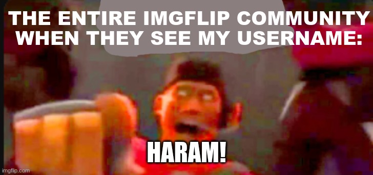 fr, STOP IT | THE ENTIRE IMGFLIP COMMUNITY WHEN THEY SEE MY USERNAME:; HARAM! | image tagged in haram,username | made w/ Imgflip meme maker