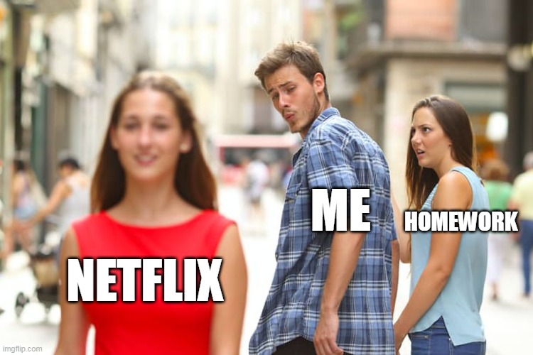 Distracted Boyfriend | ME; HOMEWORK; NETFLIX | image tagged in memes | made w/ Imgflip meme maker