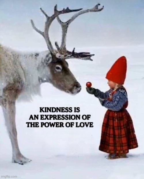 Kindness | KINDNESS IS AN EXPRESSION OF THE POWER OF LOVE | image tagged in kindness,love,reindeer,christmas,i love you,merry christmas | made w/ Imgflip meme maker