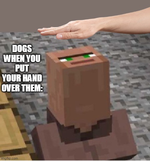 I love my dog, even though he's and idiot | DOGS WHEN YOU PUT YOUR HAND OVER THEM: | image tagged in minecraft villager looking up | made w/ Imgflip meme maker