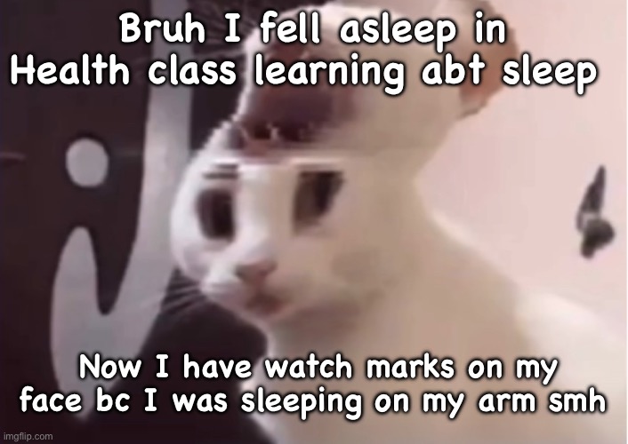 Shocked cat | Bruh I fell asleep in Health class learning abt sleep; Now I have watch marks on my face bc I was sleeping on my arm smh | image tagged in shocked cat | made w/ Imgflip meme maker