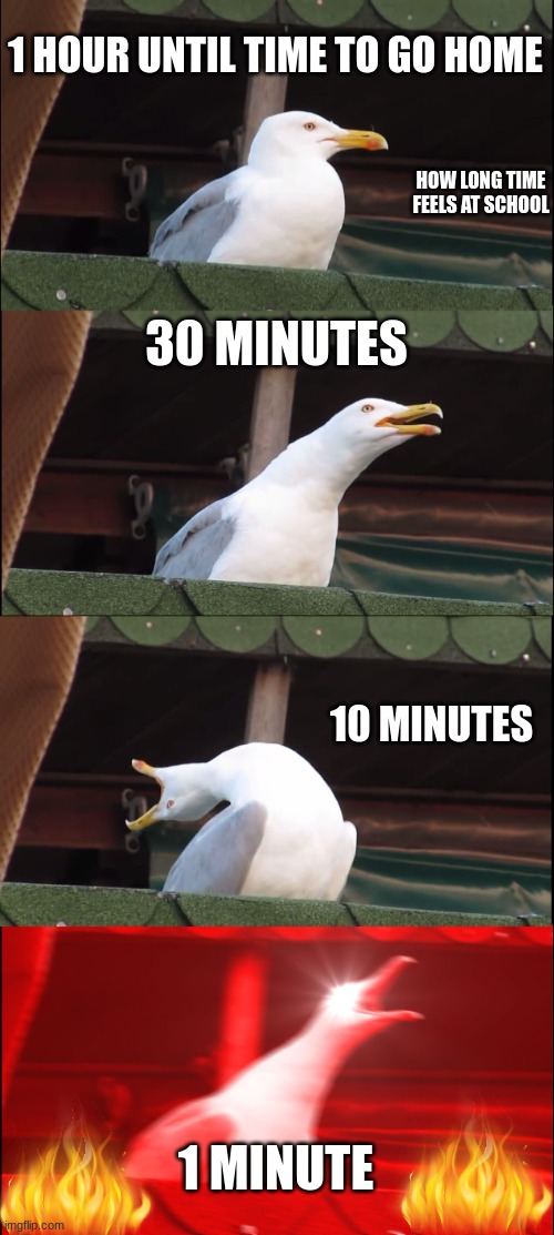TIME PLS HURRY UP | 1 HOUR UNTIL TIME TO GO HOME; HOW LONG TIME FEELS AT SCHOOL; 30 MINUTES; 10 MINUTES; 1 MINUTE | image tagged in memes,inhaling seagull,school,time | made w/ Imgflip meme maker