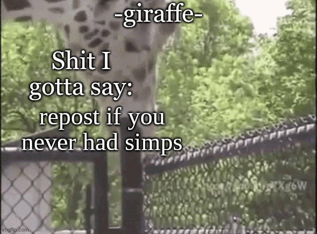 -giraffe- | repost if you never had simps | image tagged in -giraffe- | made w/ Imgflip meme maker