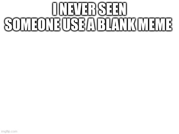 (                     ) | I NEVER SEEN SOMEONE USE A BLANK MEME | made w/ Imgflip meme maker
