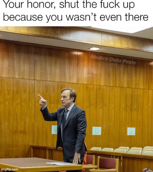 your honor you wasn't even there | image tagged in your honor you wasn't even there | made w/ Imgflip meme maker