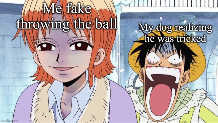 Me fake throwing the ball; My dog realizing he was tricked | image tagged in one piece,anime meme,anime memes,dogs,funny memes | made w/ Imgflip meme maker