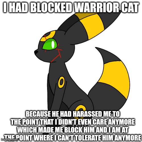 Midnight | I HAD BLOCKED WARRIOR CAT; BECAUSE HE HAD HARASSED ME TO THE POINT THAT I DIDN'T EVEN CARE ANYMORE WHICH MADE ME BLOCK HIM AND I AM AT THE POINT WHERE I CAN'T TOLERATE HIM ANYMORE | image tagged in midnight | made w/ Imgflip meme maker