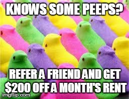 KNOWS SOME PEEPS? REFER A FRIEND AND GET $200 OFF A MONTH'S RENT | image tagged in referral | made w/ Imgflip meme maker