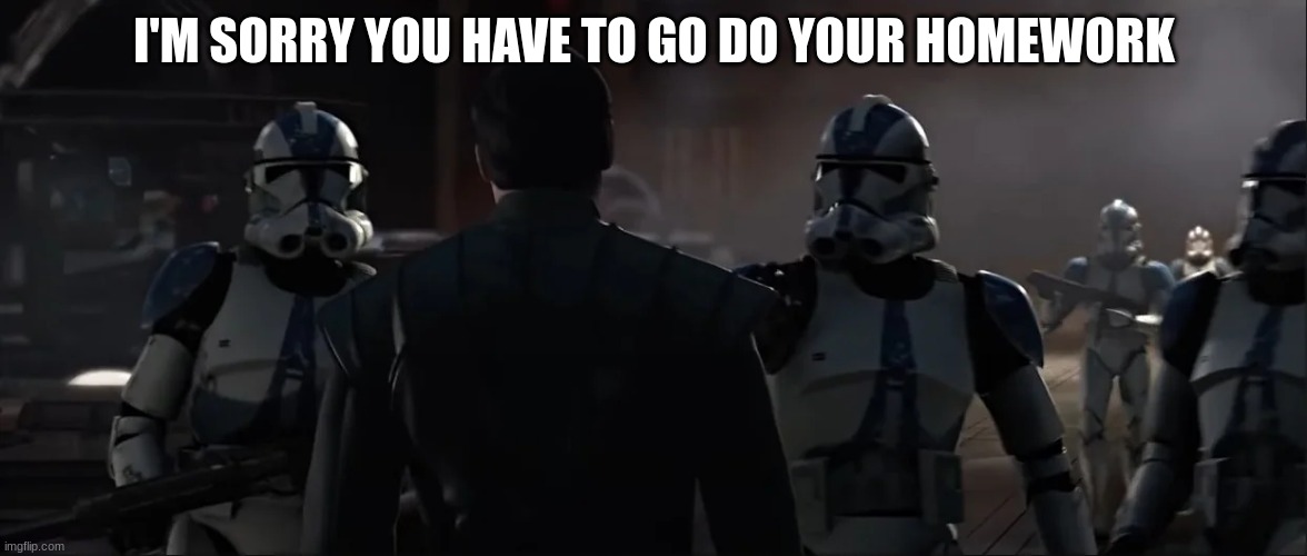 501st clone troopers | I'M SORRY YOU HAVE TO GO DO YOUR HOMEWORK | image tagged in 501st clone troopers | made w/ Imgflip meme maker