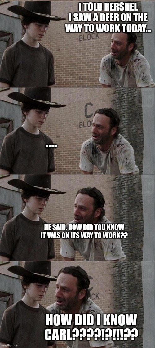 Rick and Carl Long | I TOLD HERSHEL I SAW A DEER ON THE WAY TO WORK TODAY... .... HE SAID, HOW DID YOU KNOW IT WAS ON ITS WAY TO WORK?? HOW DID I KNOW CARL????!?!!!?? | image tagged in memes,rick and carl long | made w/ Imgflip meme maker