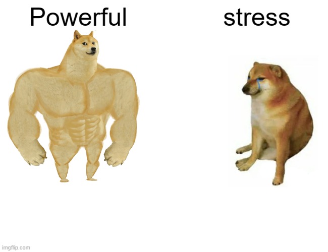 Buff Doge vs. Cheems Meme | Powerful; stress | image tagged in memes,buff doge vs cheems | made w/ Imgflip meme maker