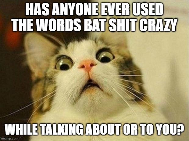 Scared Cat Meme | HAS ANYONE EVER USED THE WORDS BAT SHIT CRAZY; WHILE TALKING ABOUT OR TO YOU? | image tagged in memes,scared cat | made w/ Imgflip meme maker