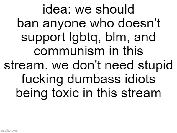 idea: we should ban anyone who doesn't support lgbtq, blm, and communism in this stream. we don't need stupid fucking dumbass idiots being toxic in this stream | made w/ Imgflip meme maker