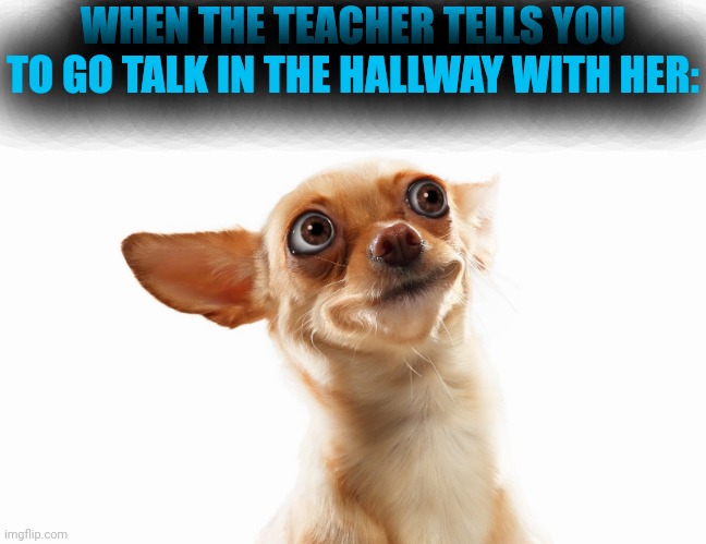 *thinks of everything I did wrong in my life* | WHEN THE TEACHER TELLS YOU TO GO TALK IN THE HALLWAY WITH HER: | image tagged in distressed dog | made w/ Imgflip meme maker