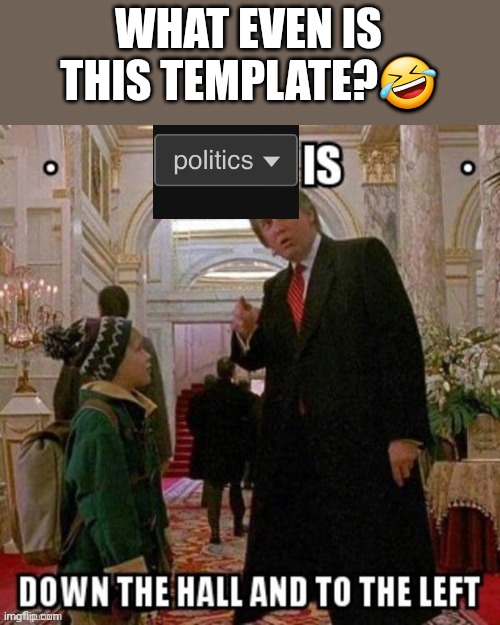 ?? | WHAT EVEN IS THIS TEMPLATE?🤣 | image tagged in politics is down the hall and to the left | made w/ Imgflip meme maker