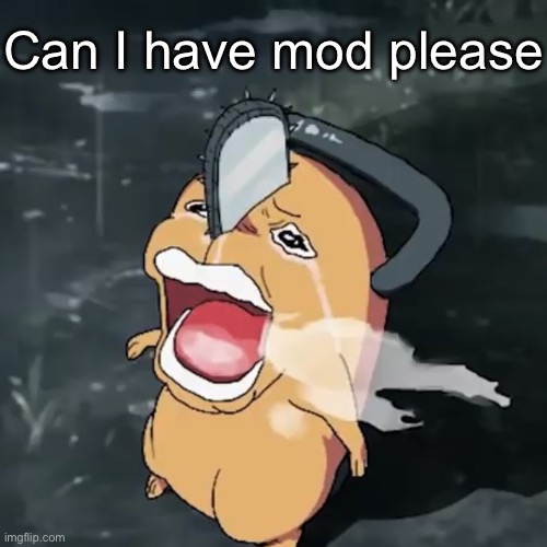 Plz | Can I have mod please | image tagged in pochita copper cry | made w/ Imgflip meme maker