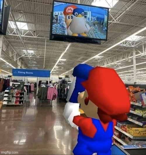 Lil penguin lost in store. | image tagged in funny,memes,super mario 64,mario,penguin | made w/ Imgflip meme maker