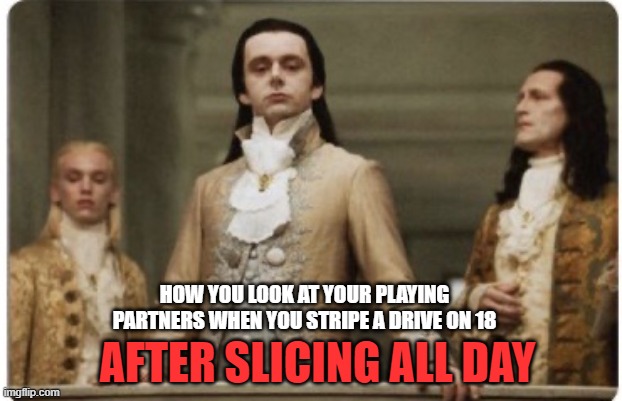 Superior Royalty | HOW YOU LOOK AT YOUR PLAYING PARTNERS WHEN YOU STRIPE A DRIVE ON 18; AFTER SLICING ALL DAY | image tagged in superior royalty | made w/ Imgflip meme maker