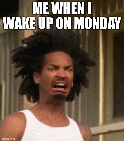 Disgusted Face | ME WHEN I WAKE UP ON MONDAY | image tagged in disgusted face | made w/ Imgflip meme maker
