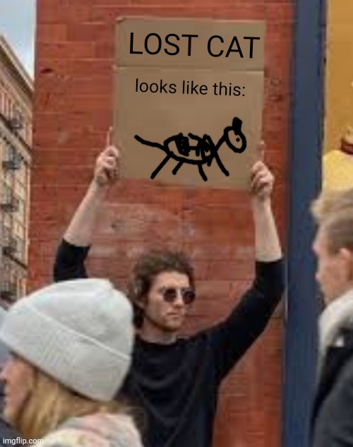 How to spot people who are only artists in name | LOST CAT; looks like this: | image tagged in sign,artists,drawing,names,thinking,experience | made w/ Imgflip meme maker