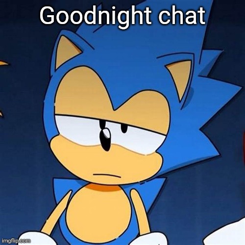 bruh | Goodnight chat | image tagged in bruh | made w/ Imgflip meme maker