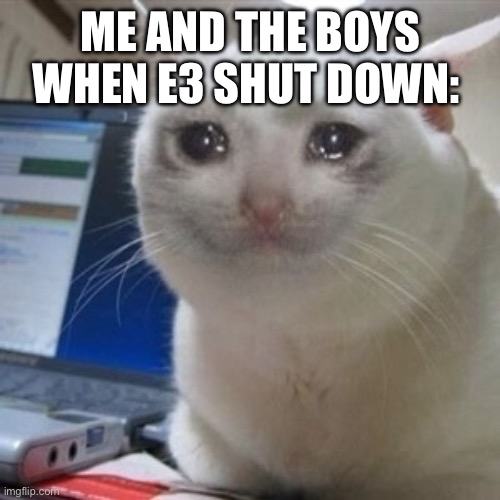 E3 RIP | ME AND THE BOYS WHEN E3 SHUT DOWN: | image tagged in crying cat | made w/ Imgflip meme maker