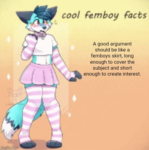 cool femboy facts | A good argument should be like a femboys skirt, long enough to cover the subject and short enough to create interest. | image tagged in cool femboy facts | made w/ Imgflip meme maker