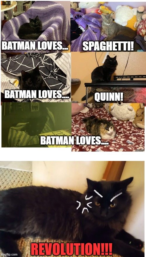 My Son Batman | BATMAN LOVES... SPAGHETTI! BATMAN LOVES.... QUINN! BATMAN LOVES.... REVOLUTION!!! | image tagged in blank white template,memes,blank transparent square | made w/ Imgflip meme maker