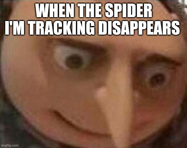 f@ck | WHEN THE SPIDER I'M TRACKING DISAPPEARS | image tagged in gru meme,lol,funny memes | made w/ Imgflip meme maker