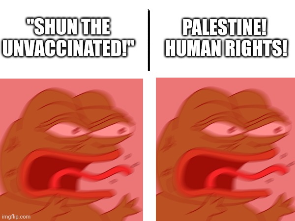 Hypocrites says what? | "SHUN THE UNVACCINATED!"; PALESTINE! 
HUMAN RIGHTS! | image tagged in reeeeeeeeeeeeeeeeeeeeee | made w/ Imgflip meme maker