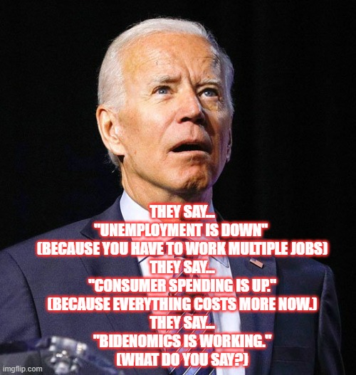They Say | THEY SAY...
"UNEMPLOYMENT IS DOWN" 
(BECAUSE YOU HAVE TO WORK MULTIPLE JOBS)
THEY SAY...
"CONSUMER SPENDING IS UP."
(BECAUSE EVERYTHING COSTS MORE NOW.)
THEY SAY...
"BIDENOMICS IS WORKING."
(WHAT DO YOU SAY?) | image tagged in joe biden,bidenomics,fake promises | made w/ Imgflip meme maker