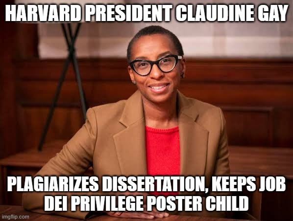 Ivy Legue Colleges are insidious! | HARVARD PRESIDENT CLAUDINE GAY; PLAGIARIZES DISSERTATION, KEEPS JOB
DEI PRIVILEGE POSTER CHILD | image tagged in claudine gay,liberals,democrats,woke,dei,grifter | made w/ Imgflip meme maker