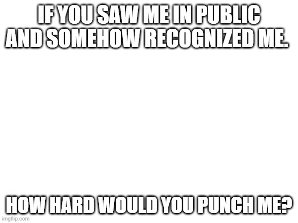 IF YOU SAW ME IN PUBLIC AND SOMEHOW RECOGNIZED ME. HOW HARD WOULD YOU PUNCH ME? | made w/ Imgflip meme maker