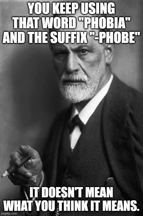 Sigmund Freud Meme | YOU KEEP USING THAT WORD "PHOBIA" AND THE SUFFIX "-PHOBE" IT DOESN'T MEAN WHAT YOU THINK IT MEANS. | image tagged in memes,sigmund freud | made w/ Imgflip meme maker