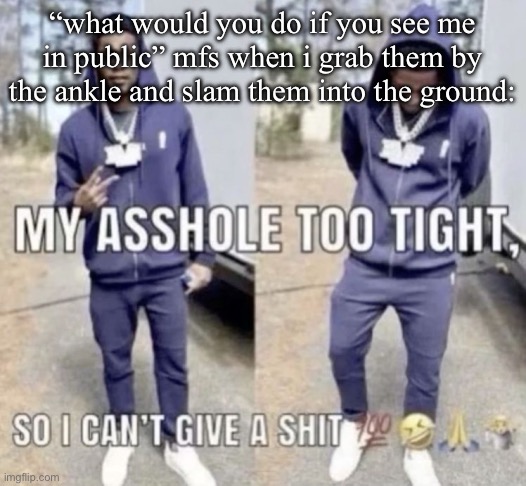 Cant give a shit | “what would you do if you see me in public” mfs when i grab them by the ankle and slam them into the ground: | image tagged in cant give a shit | made w/ Imgflip meme maker