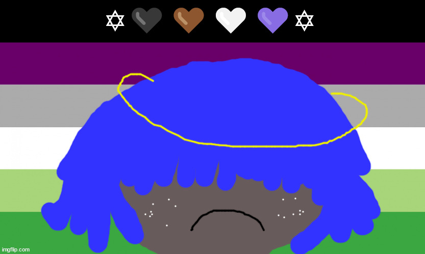 aroace flag | ✡🖤🤎🤍💜✡ | made w/ Imgflip meme maker