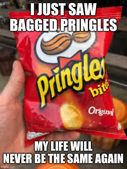 AAHH!! NOOO!!! | I JUST SAW BAGGED PRINGLES; MY LIFE WILL NEVER BE THE SAME AGAIN | made w/ Imgflip meme maker